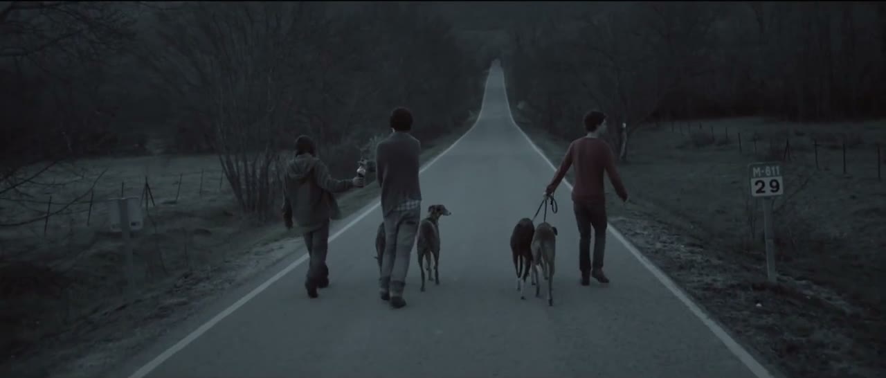 Los Galgos